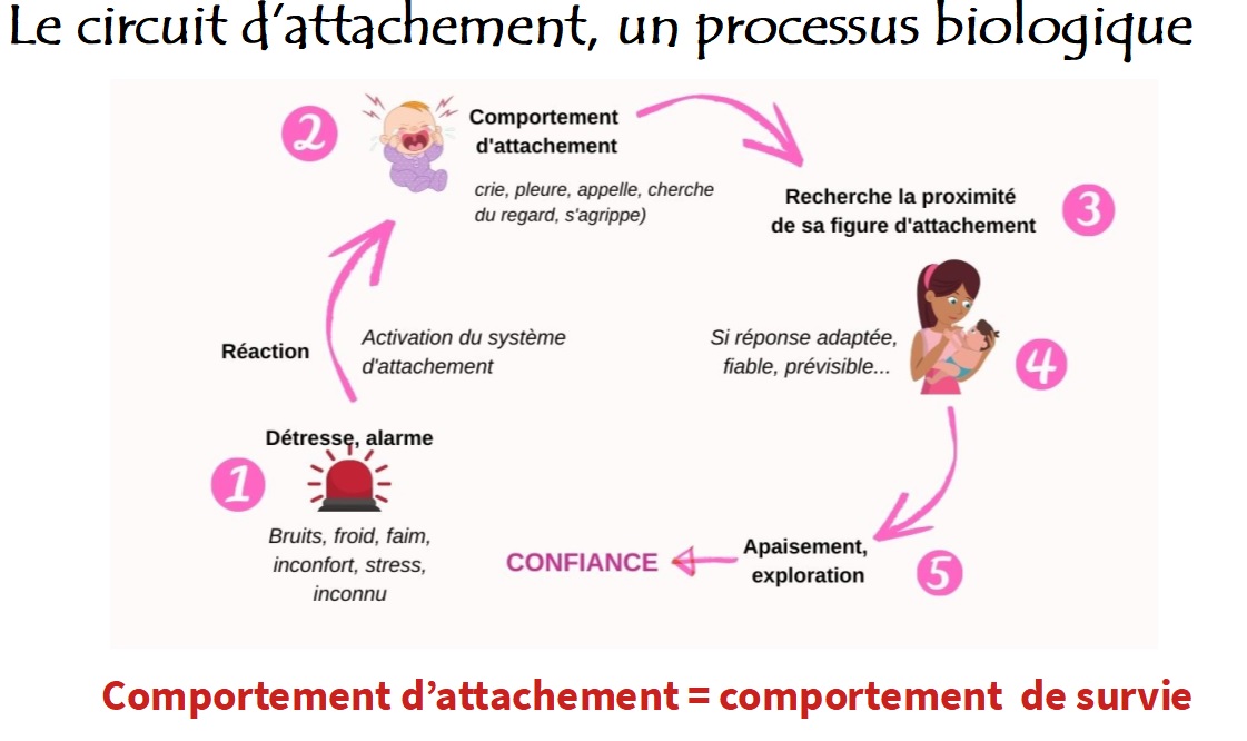 circuit_attachement