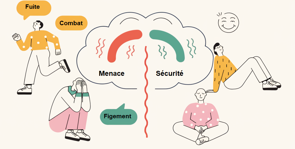 Infographie illustrant le rôle du système nerveux autonome dans les réactions du corps face au stress.